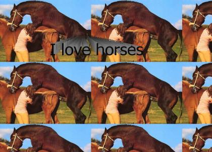 I love horses!