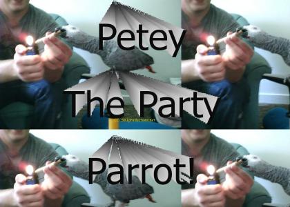 Petey The Party Parrot
