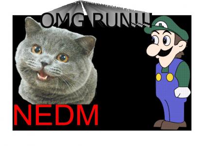 DOWNVOTERATTRACTINGTMND:Weegee and NEDM Work to take over the World