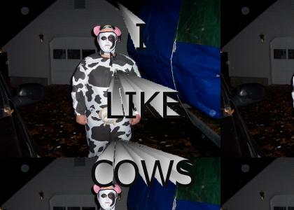 I like cows