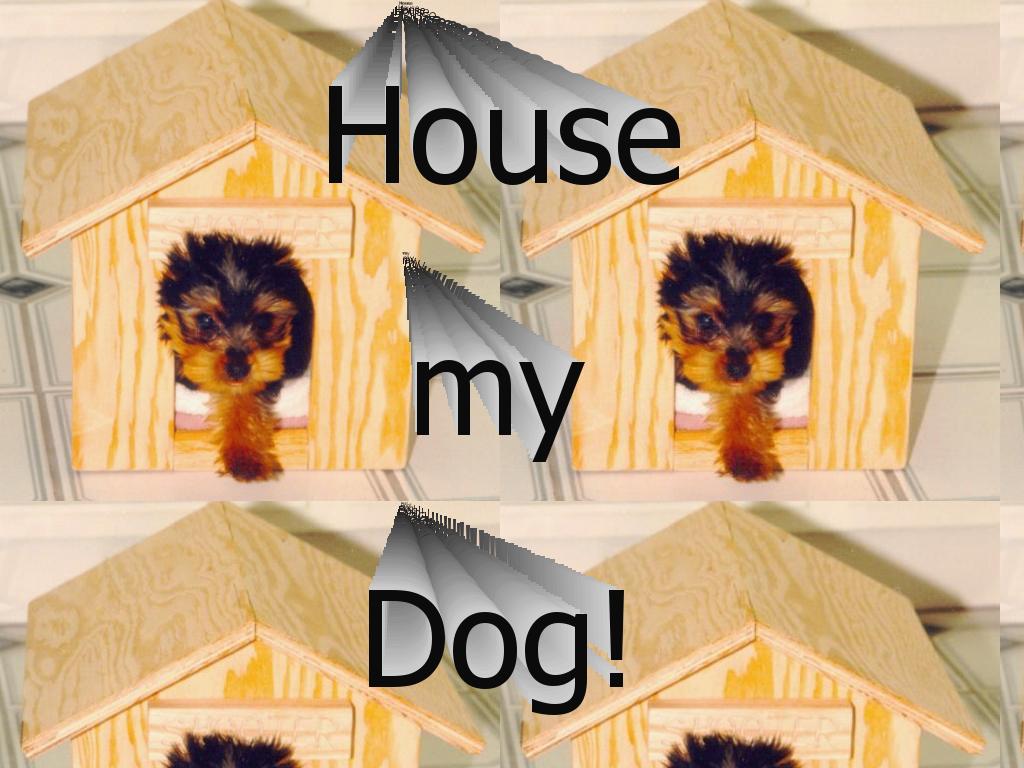 housemydog