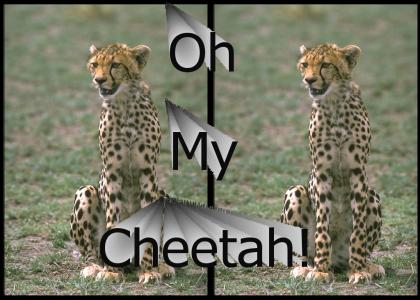 Oh my Cheetah...