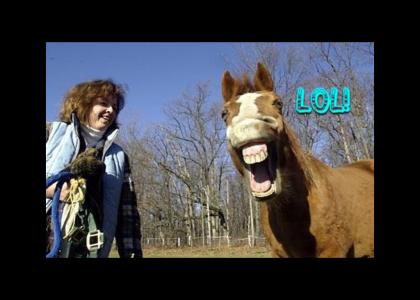 LOL, Horse!