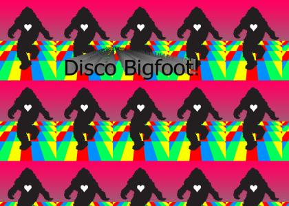 bigfoot loves disco