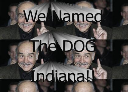 We Named The DOG Indiana!!