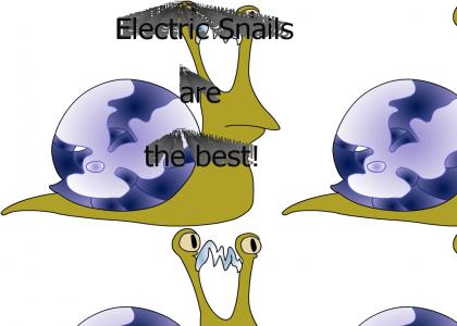 Electric Snails are BEST