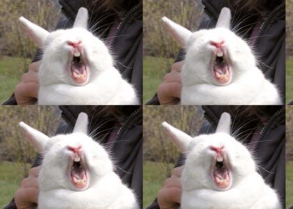 easter bunny belts out an eggmelter.....