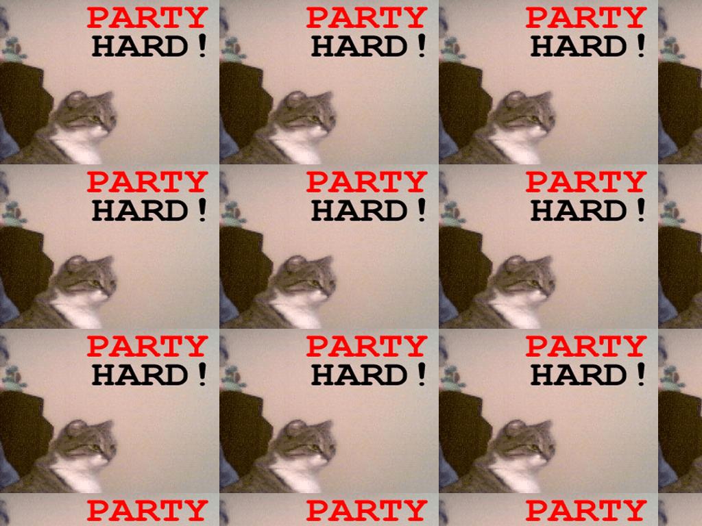 partypartypartyhard