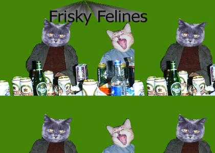 Frisky Felines