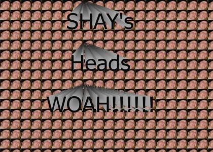 Shay Heads
