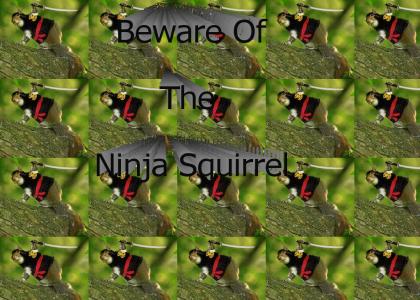 NinjaSquirrel