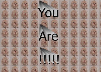 You Are!