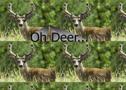 Oh deer...
