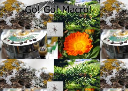 Go! Go! Macro!