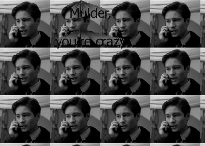 Mulder is crazy