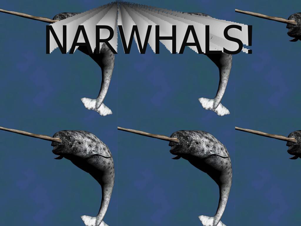 narwhals1127