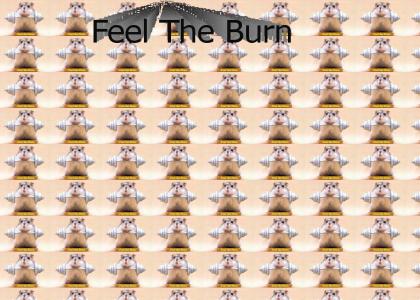 Feel the Burn