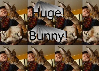 Huge! Bunny!