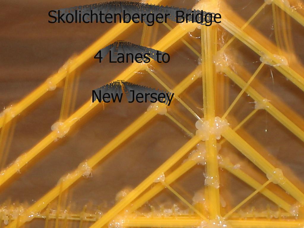 spaghettibridge
