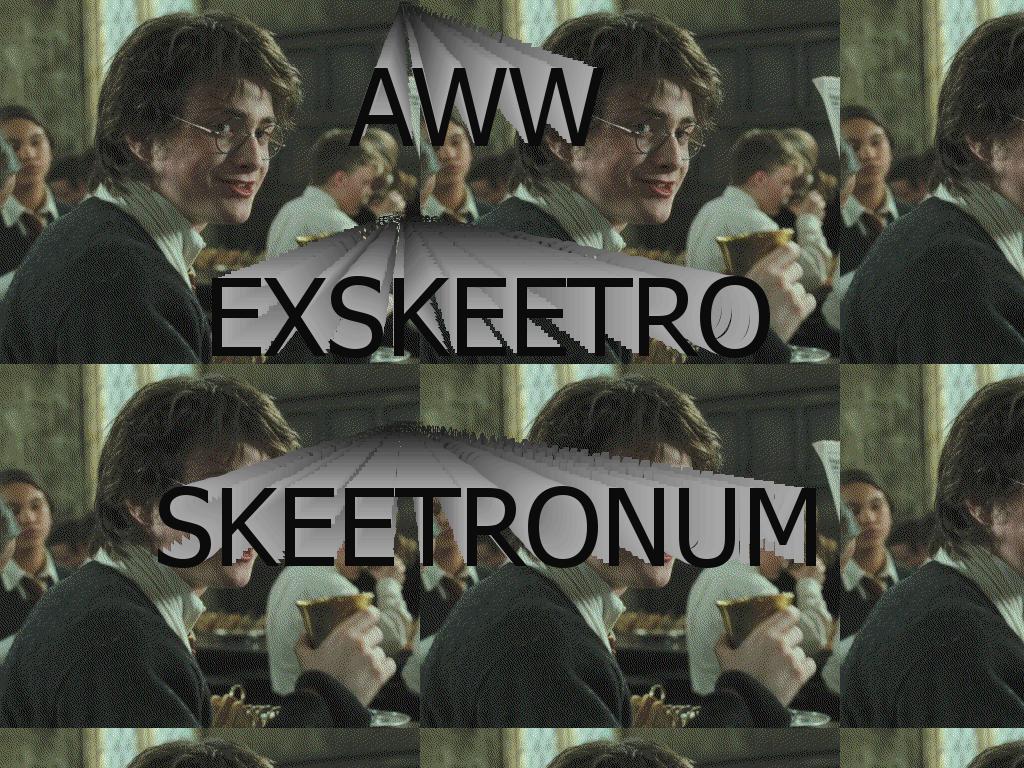 harrypotterskeet