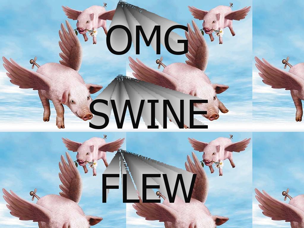 whenpigsfly