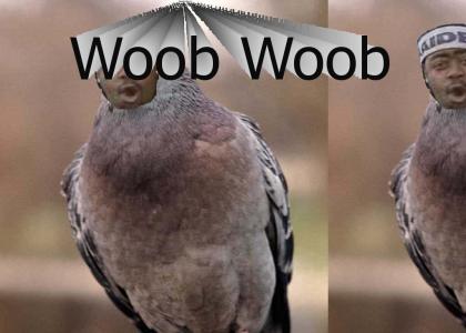 Bubb Rubb is a Pigeon