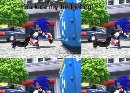 Sonic Gives Advice About Kicking Dogs