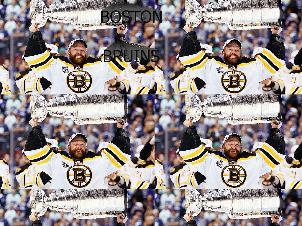 bostonbruinsstanleycupchamps