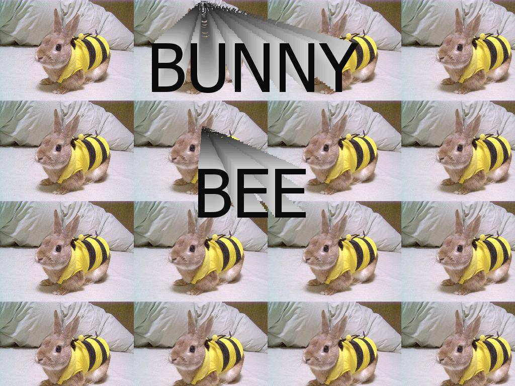 bunnybee
