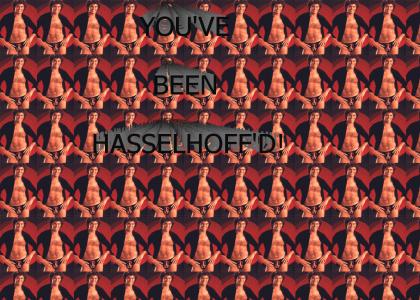 You've been hasselhoff'd!!