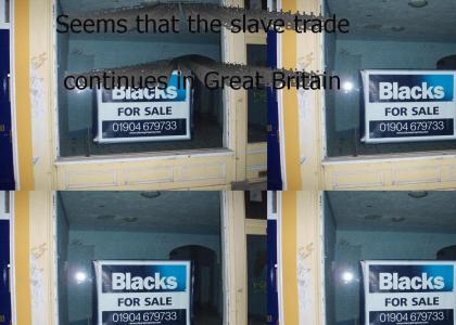 Blacks For Sale!