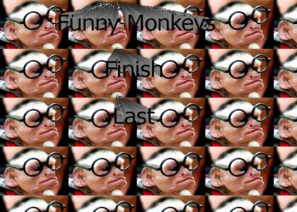 Funny Monkey