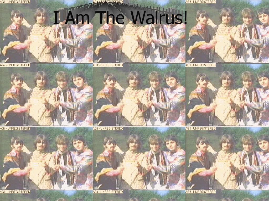thewalrus