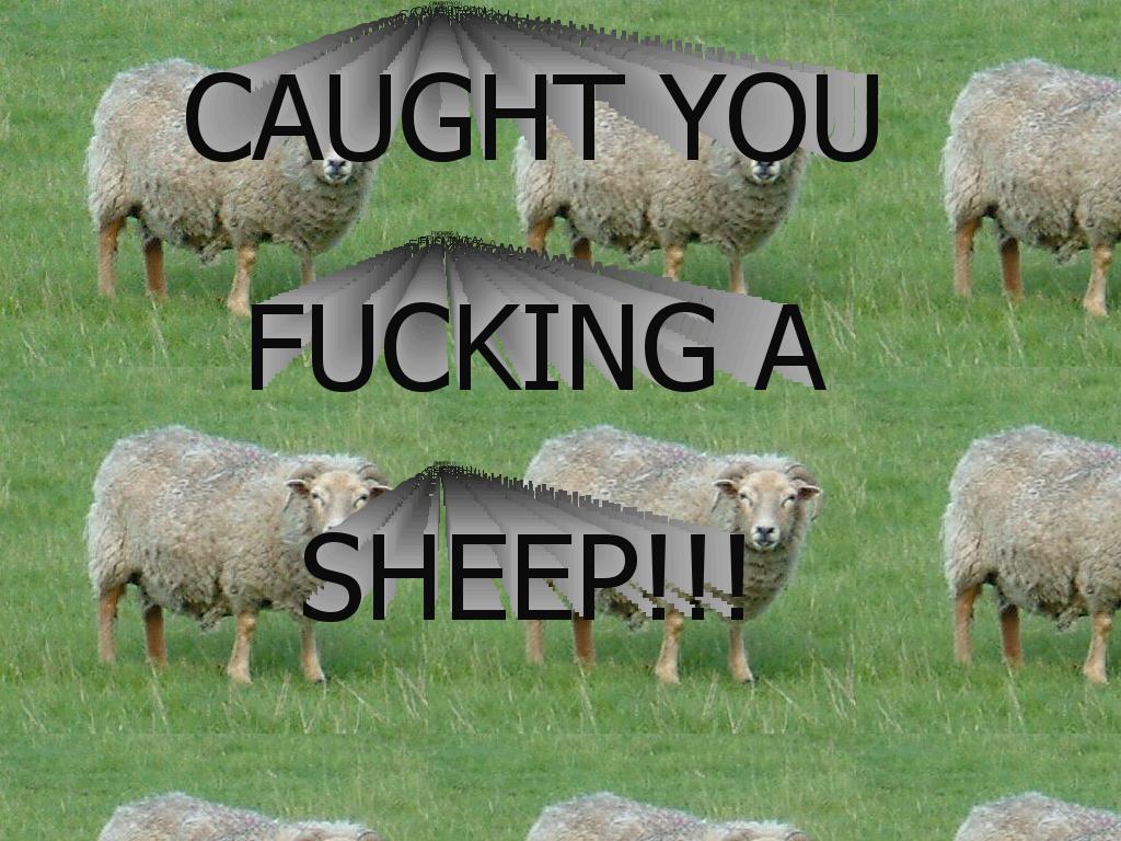 sheepfuck