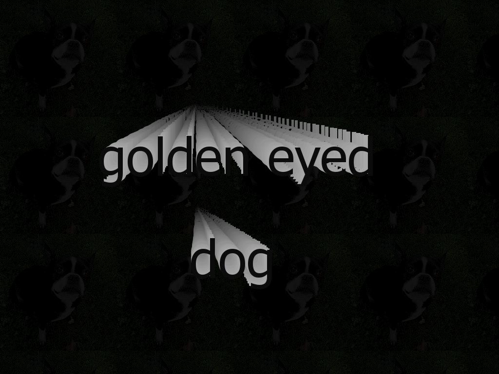 goldeneyeddog