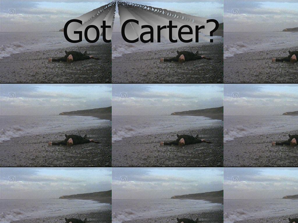 gotcarter