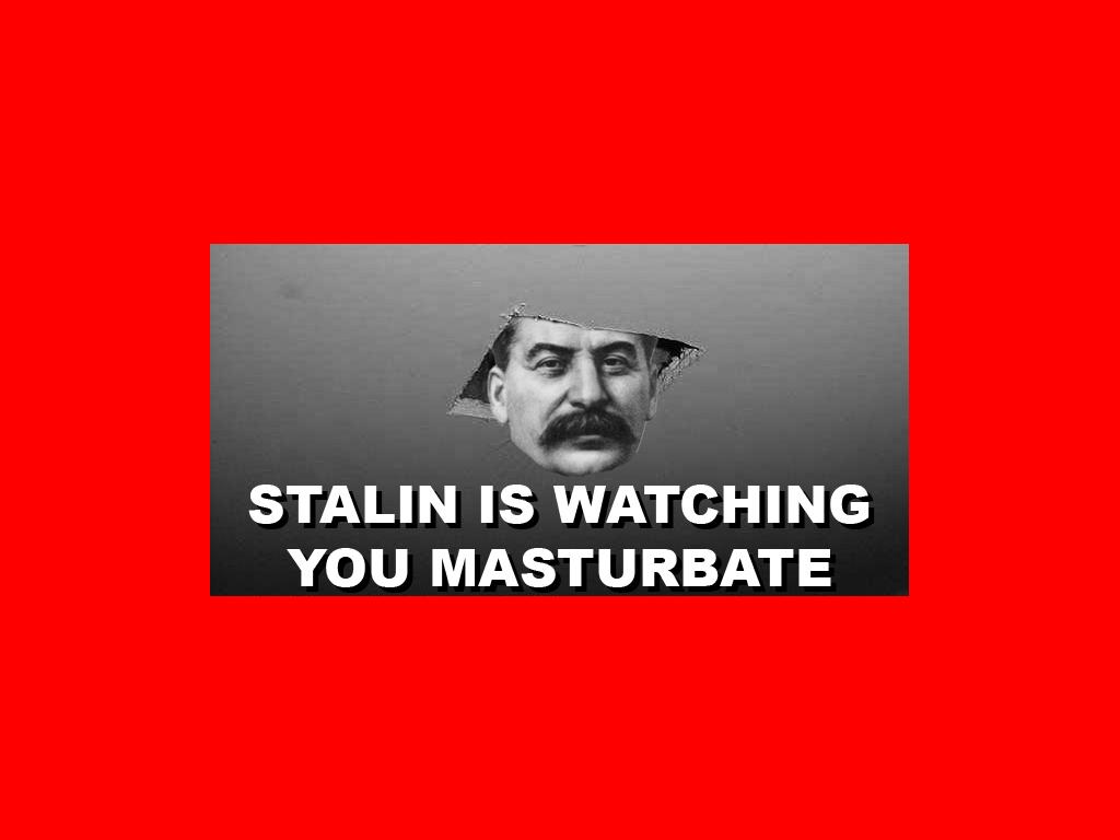 staliniswatching