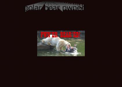Pwner Bear