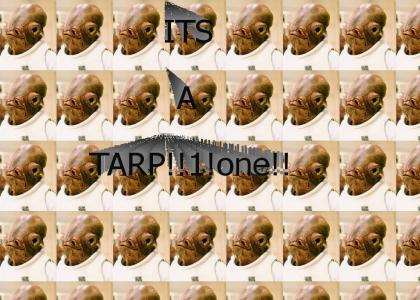 Its a TARP!!!