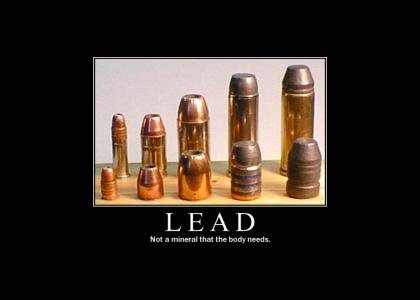 Life Lessons # 12: Lead