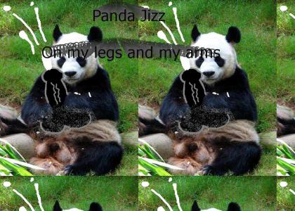 Bandages v. Panda Jizz