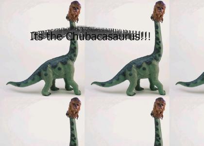 Chubacasaurus