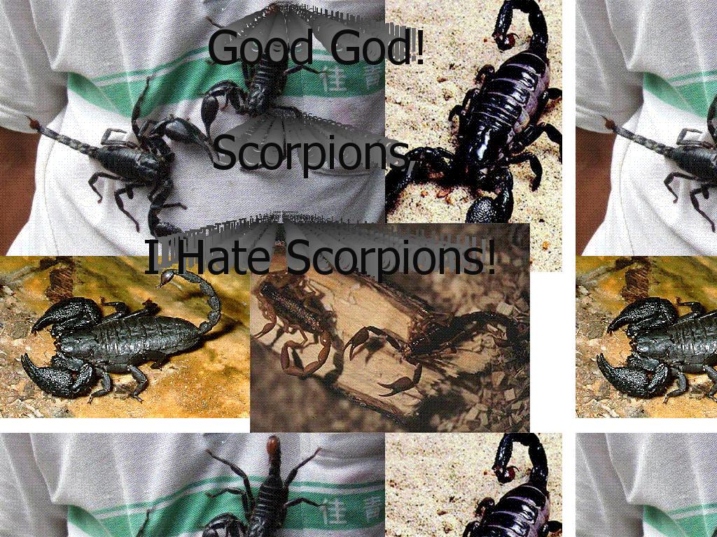 goodgodscorpids