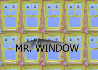 Mr. Window