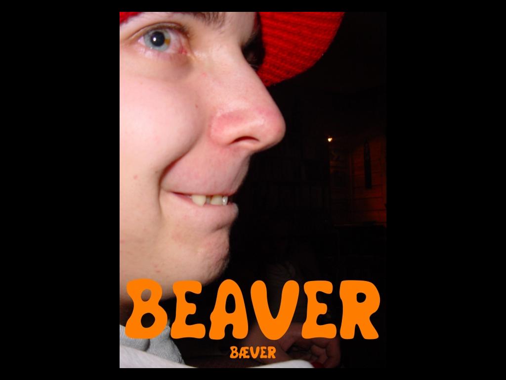 beaverbeaver