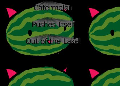 catermelon