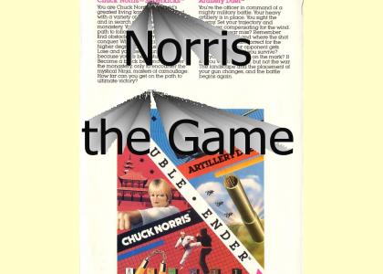 Norris Video Game