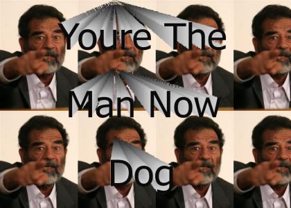 Saddams The Man Now, Dog