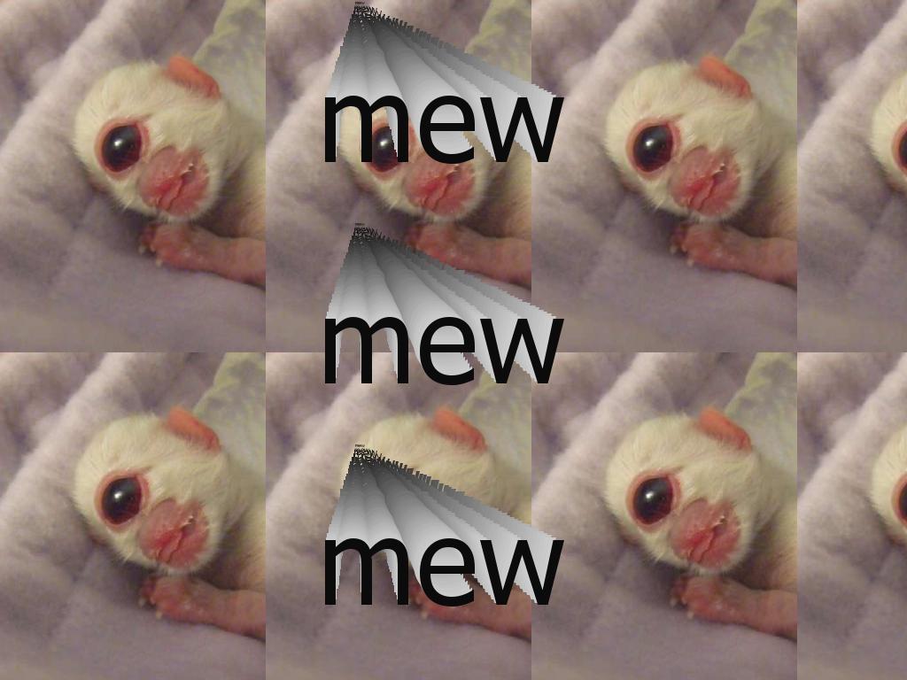 oneeyedmew