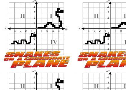 Snakes on a Coordinate Plane